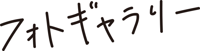 フォトギャラリー